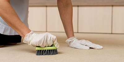 drothane-bio-polyols-castor-based-reach-compliant-europe